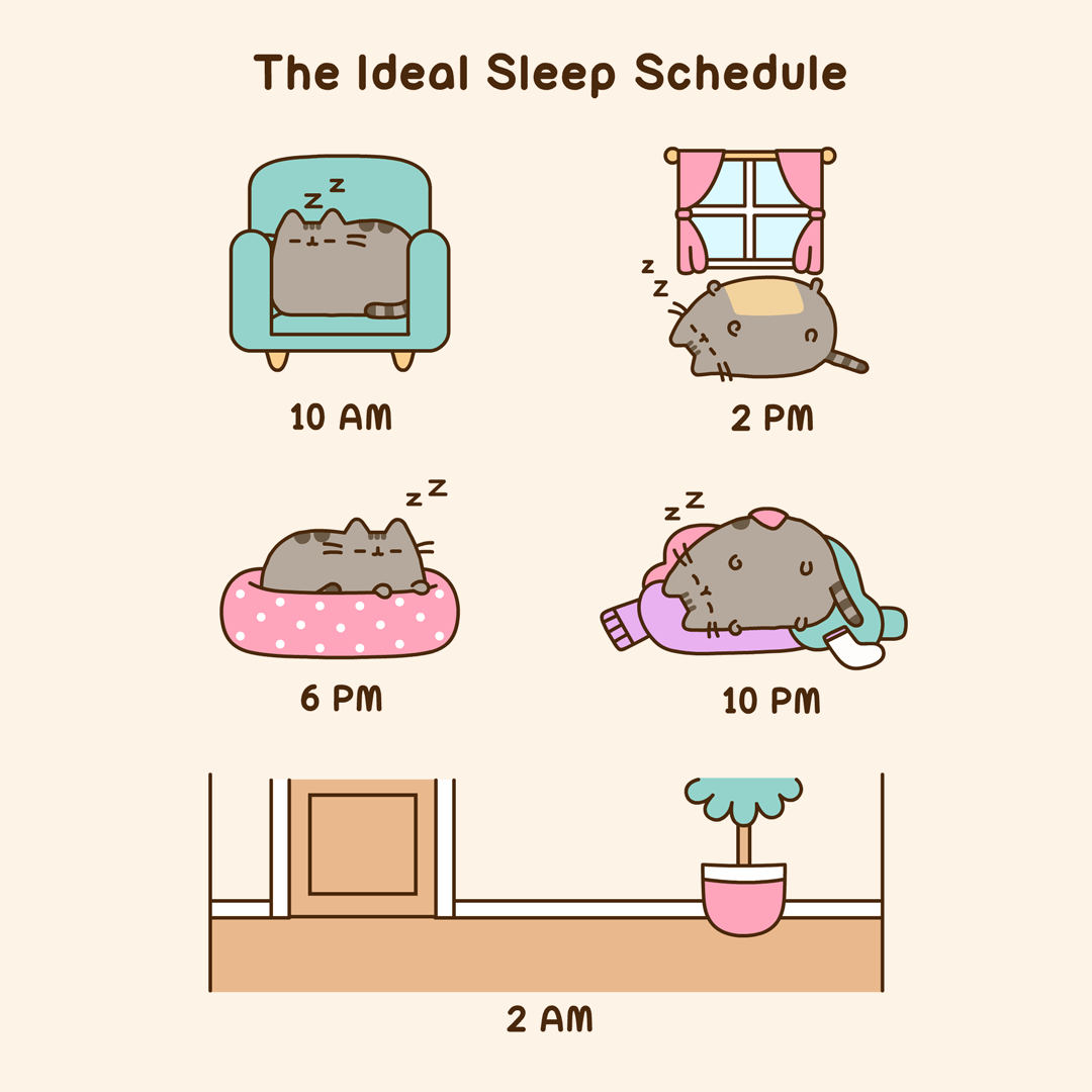 The Ideal Sleep Schedule