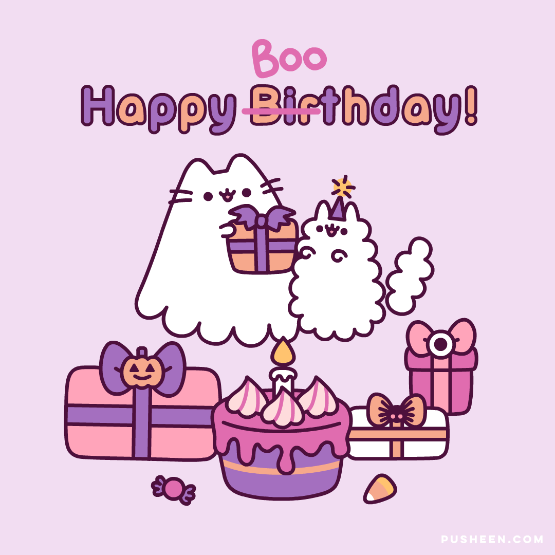 Happy Birthday, Stormy!