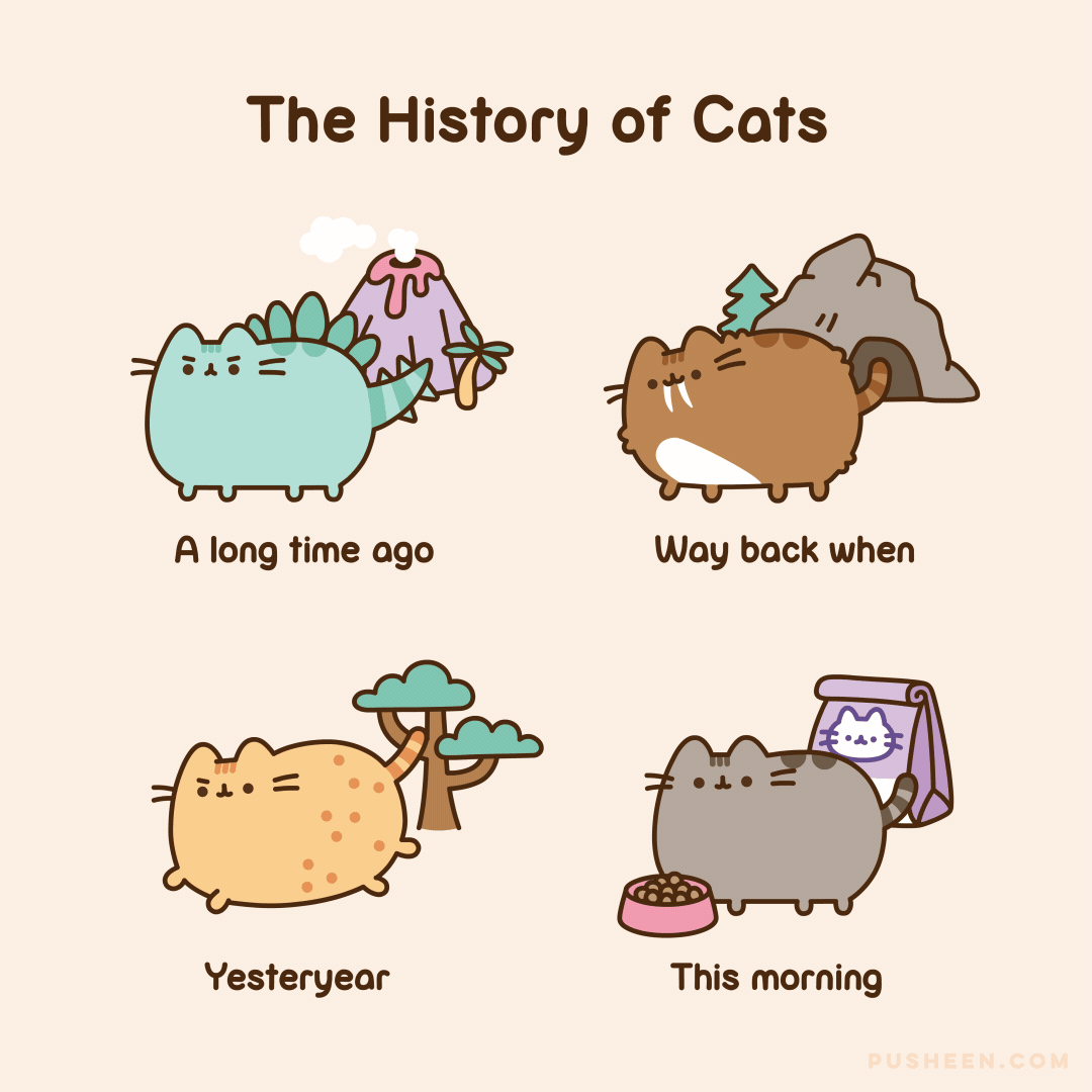 The History of Cats