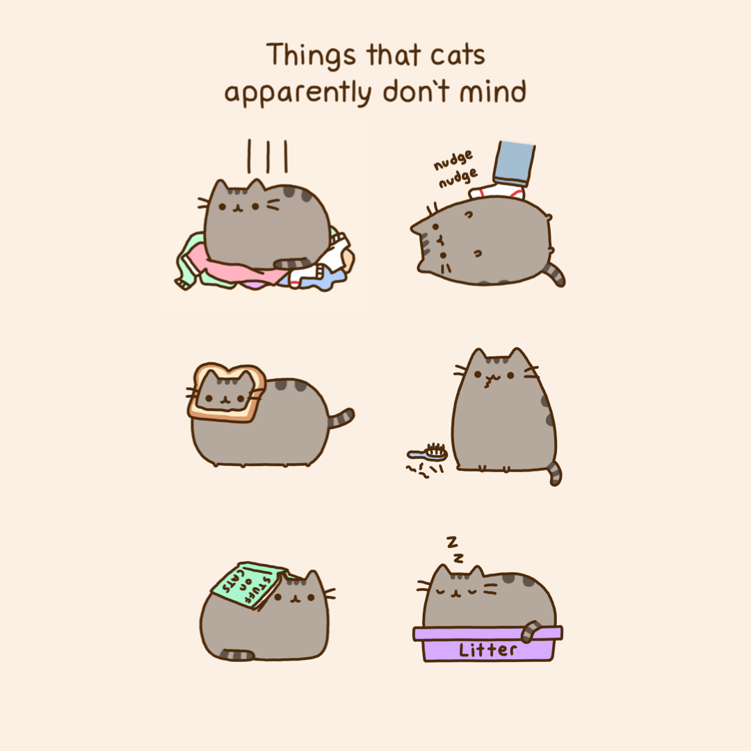 Things that Cats Apparently Don't Mind