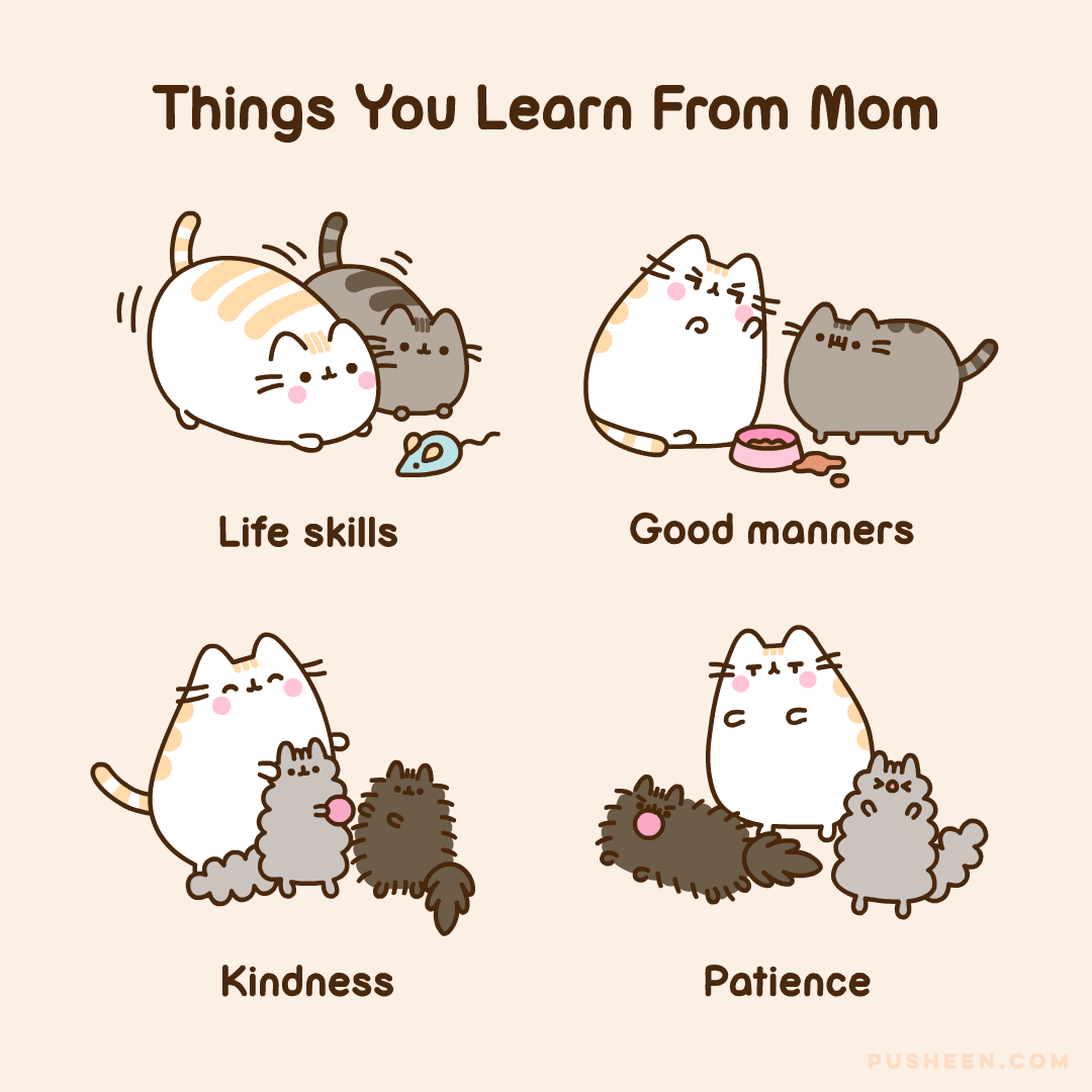 Things You Learn from Mom