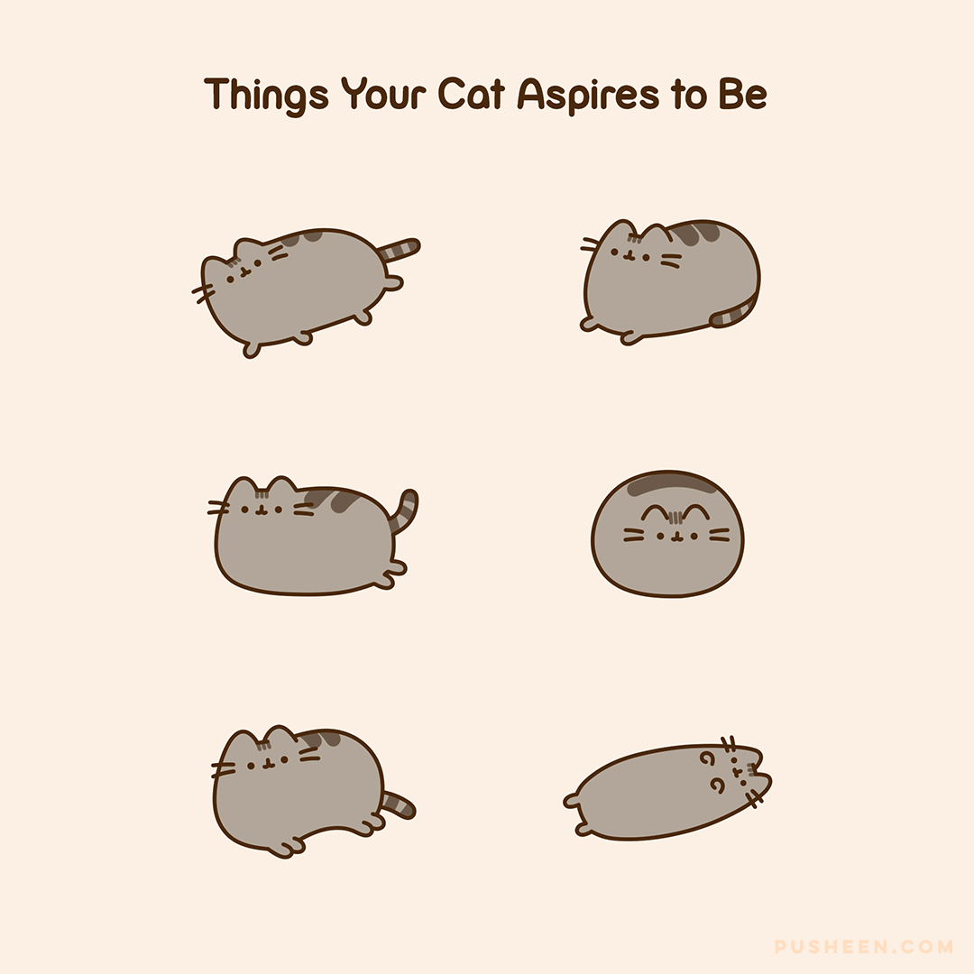 Things Your Cat Aspires to Be