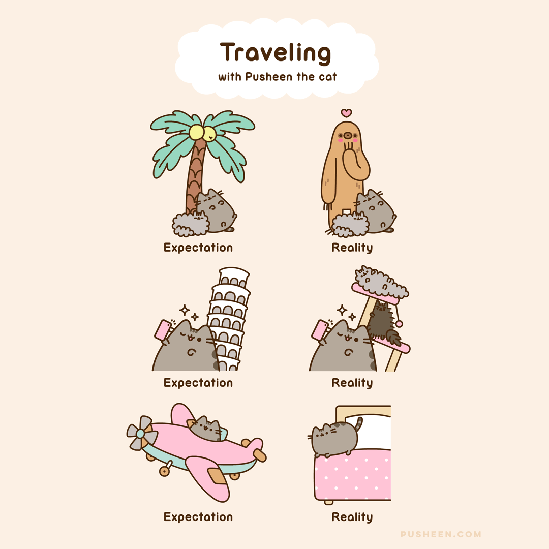 Traveling With Pusheen