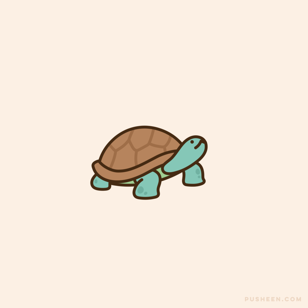 Pusheen & Turtle