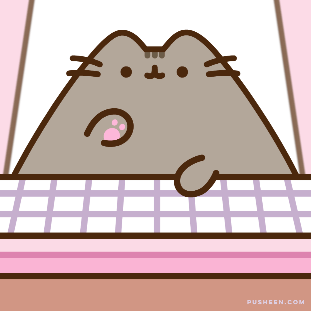 Pusheen is typing...