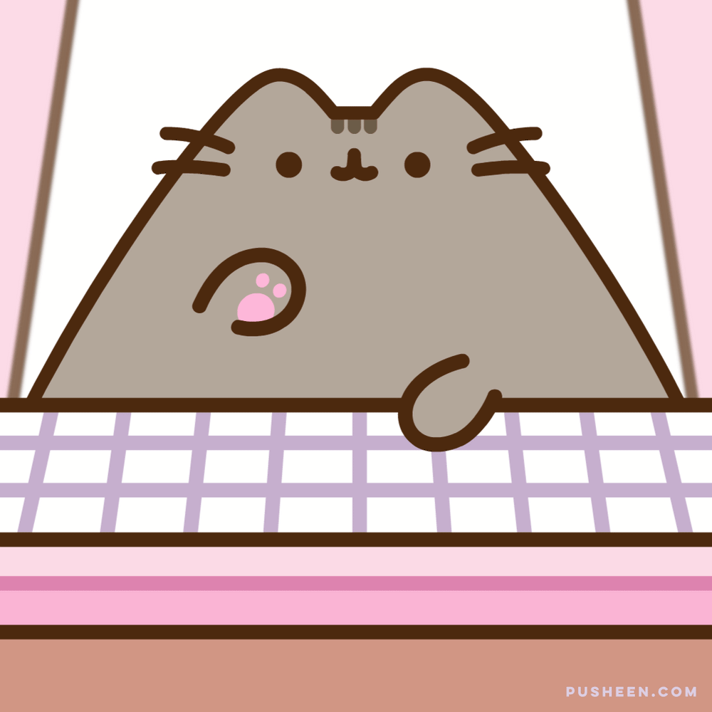 Pusheen Is Typing Pusheen Shop pusheen-is-typing-pusheen-shop