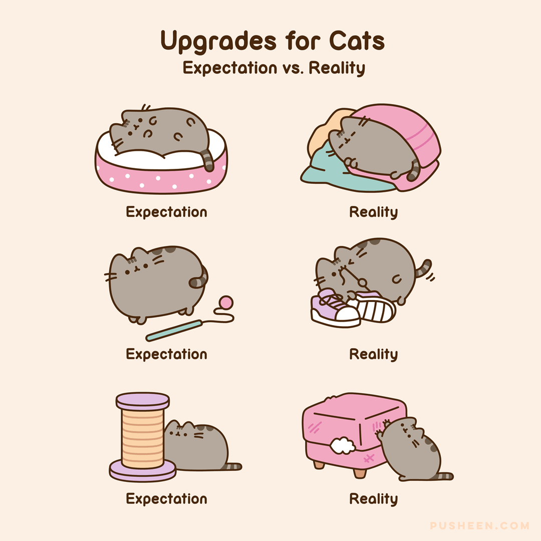 Upgrades for Cats