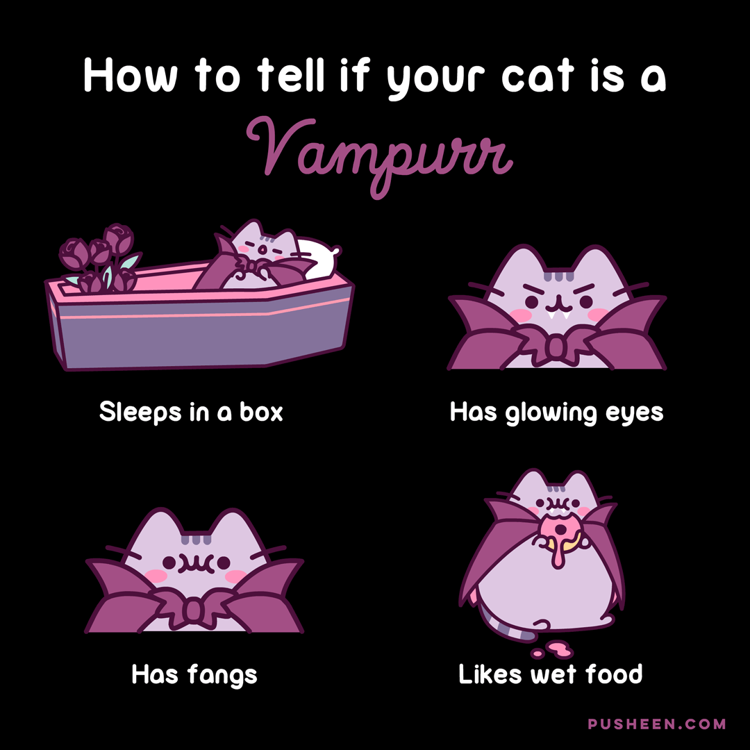 How to Tell if Your Cat is a Vampurr