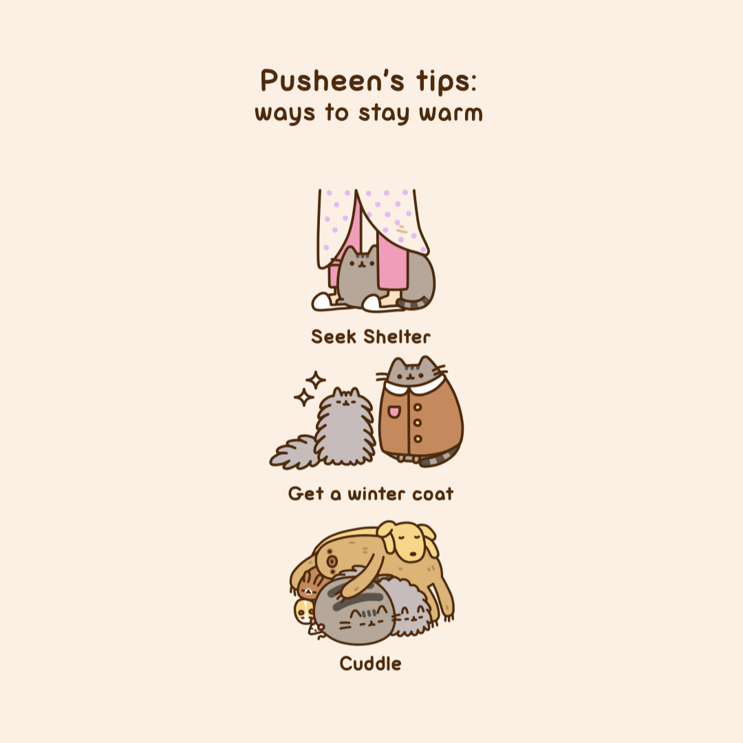 Pusheen's Tips: Ways to Stay Warm