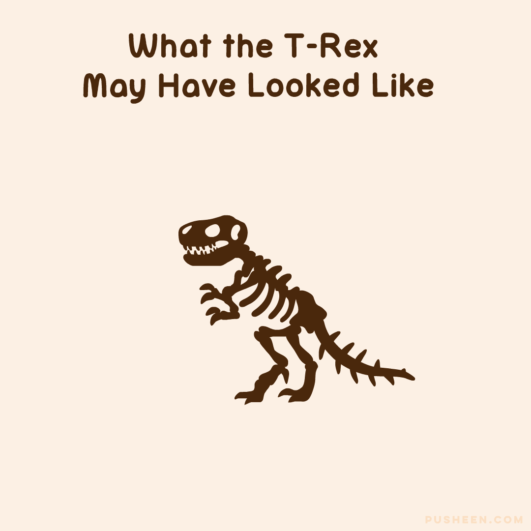 What the T-Rex May Have Looked Like