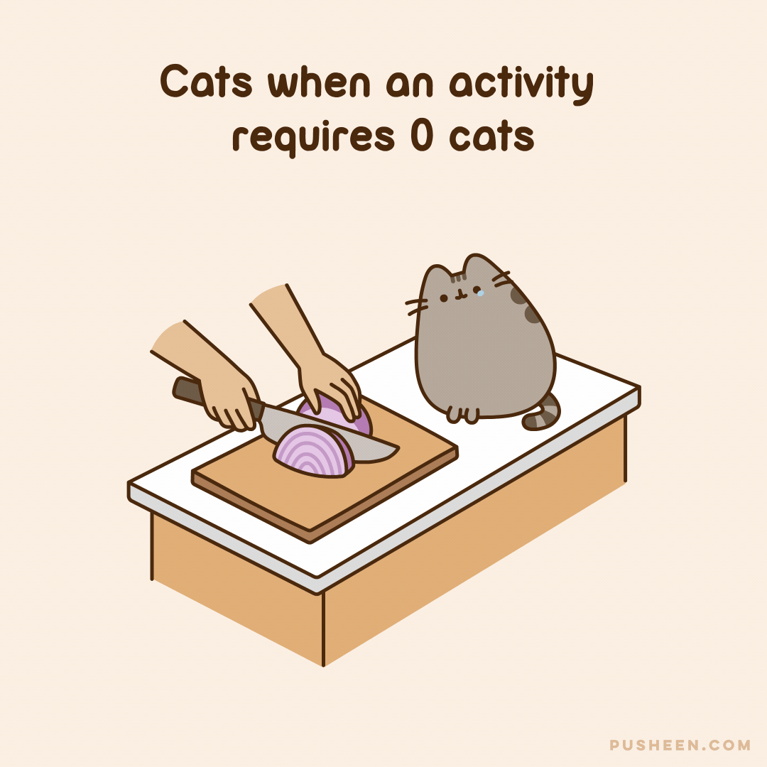 When the Activity Requires Zero Cats
