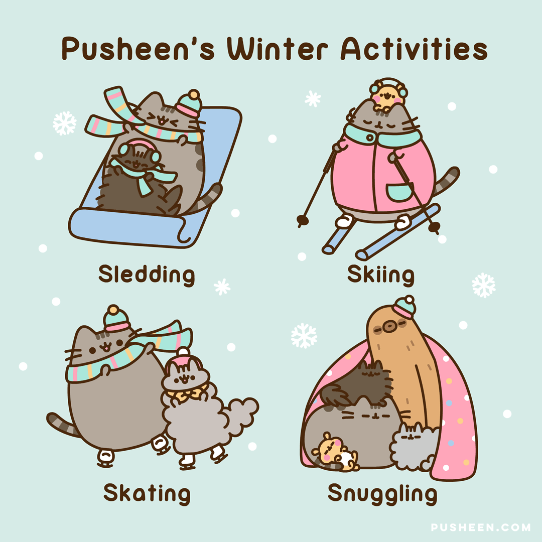 Pusheen's Winter Activities
