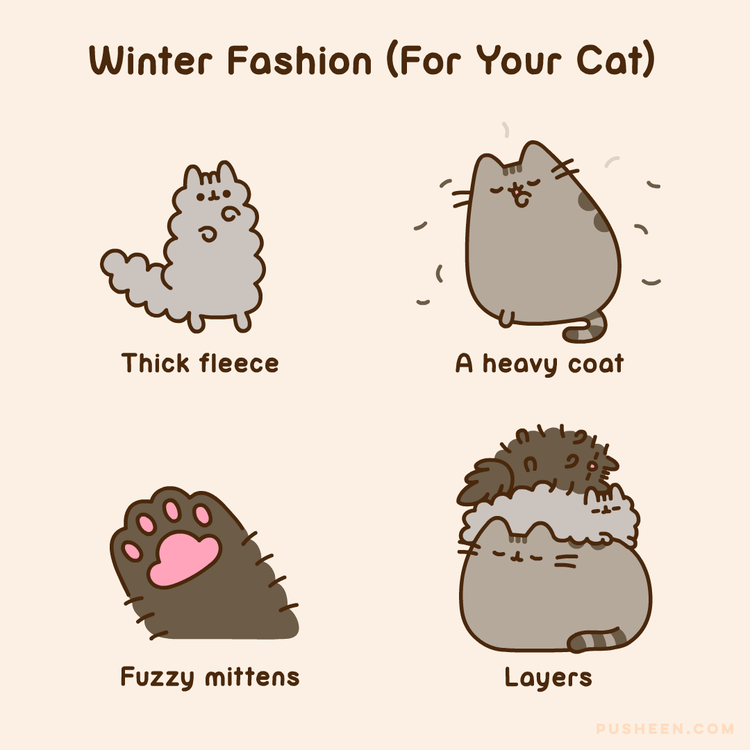 Winter Fashion (For Your Cat)