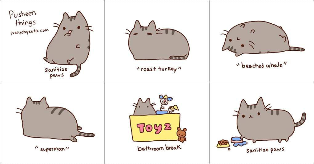 Pusheen Things