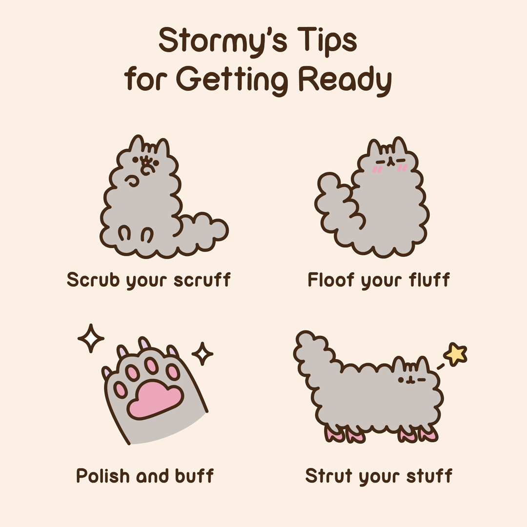 Stormy's Tips for Getting Ready