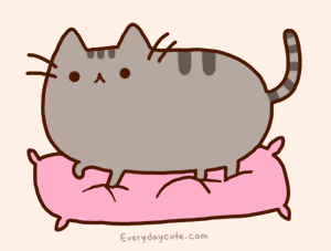 Pusheen on a Pillow