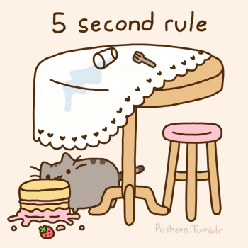 5 Second Rule