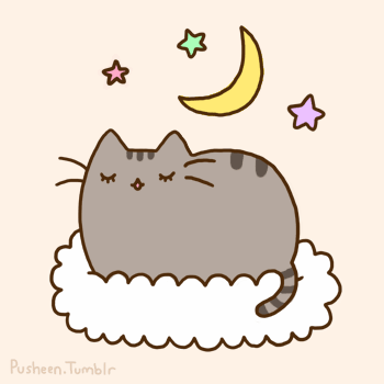 Sleepy Pusheen