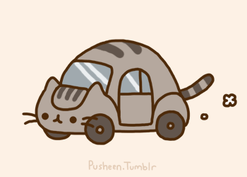Pusheen Car