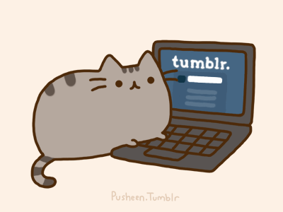 Browsing Tumblr