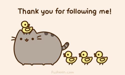 Thank you for Follow Me