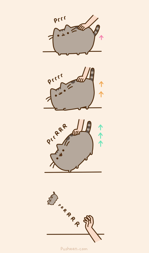 Pusheen Takes Off