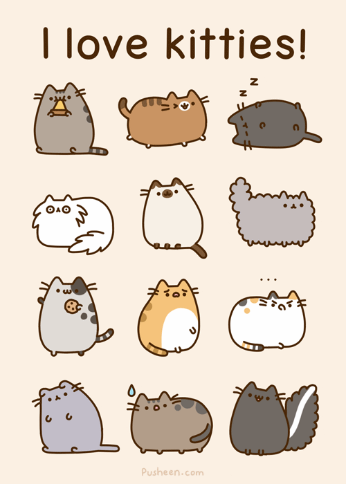 I Love Kitties