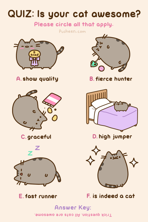 Is Your Cat Awesome?