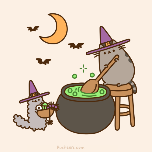 Pusheen and Stormy Witches
