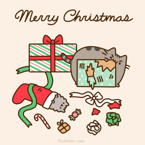 Merry Christmas 2013