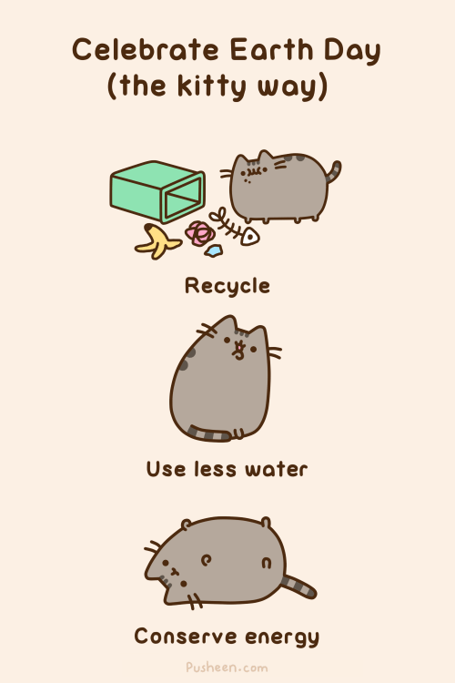 Celebrate Earth Day (the Kitty Way)