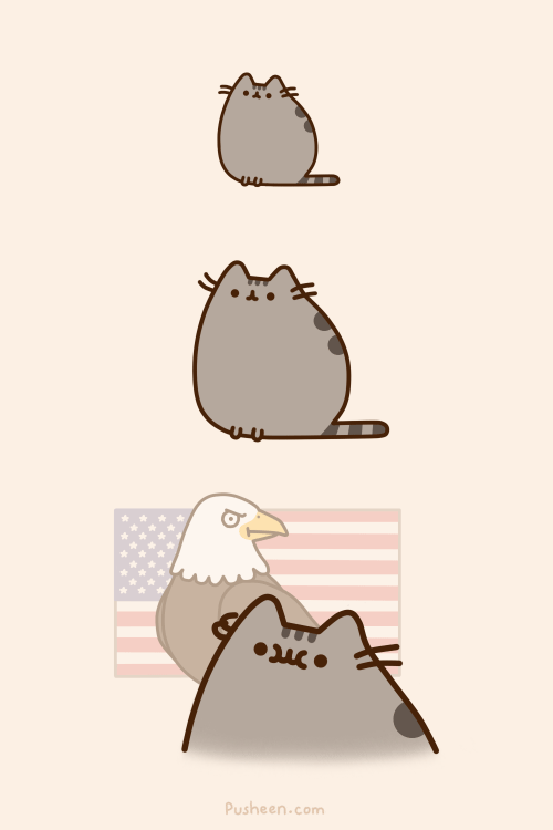 4th of July 2014