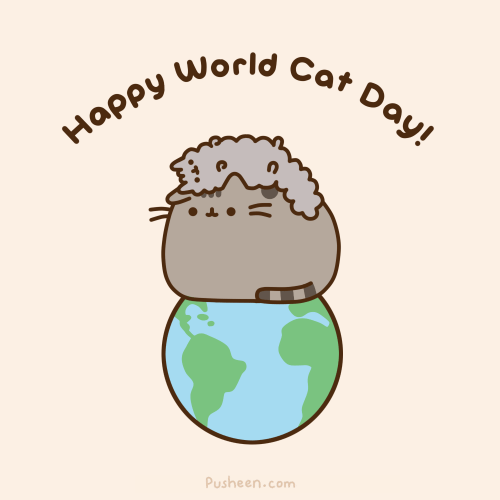Happy World Cat Day 2014