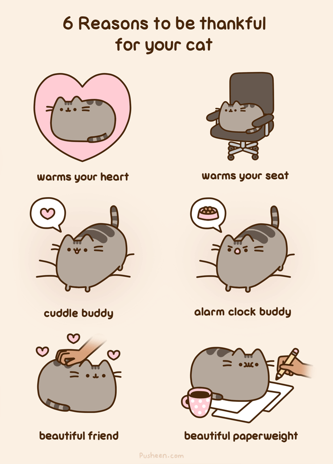 6 Reasons to be Thankful for Your Cat