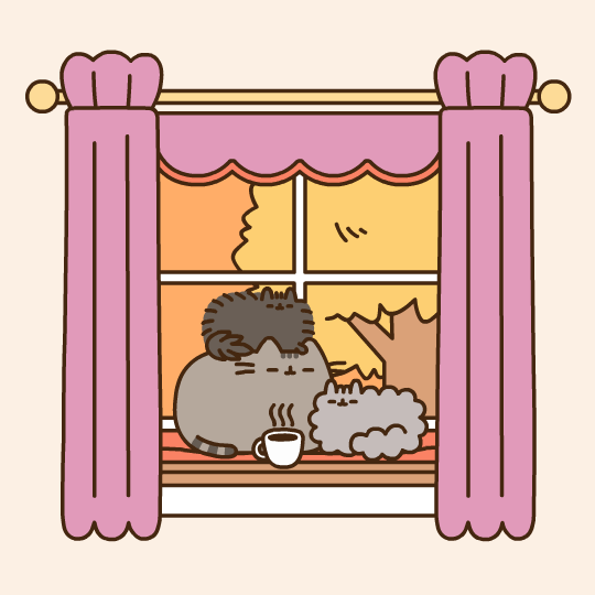 Fall Window
