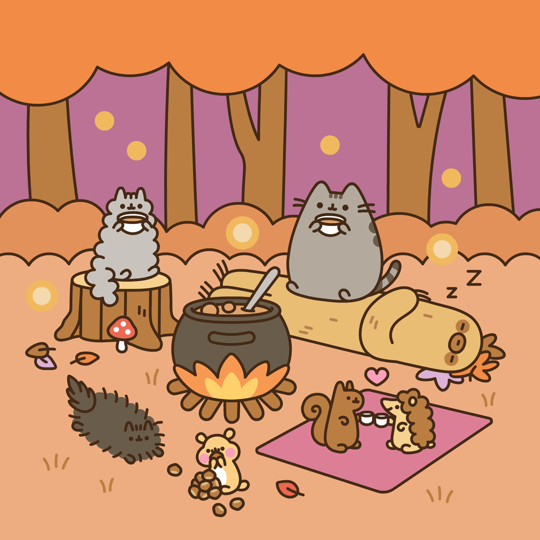 Fall Evening in the Forest