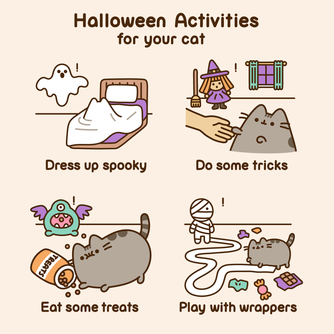 Halloween Activities for your Cat