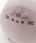 Close-up of Pusheen's face on the extra jumbo squisheen plush. The cat's two triangular shaped ears extend off the front of the plush above the embroidered facial features.