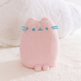 Pink plush toy with blue accents on a white background.