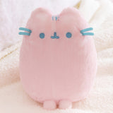 Close-up of light blue face details on the pink fluffy plush.