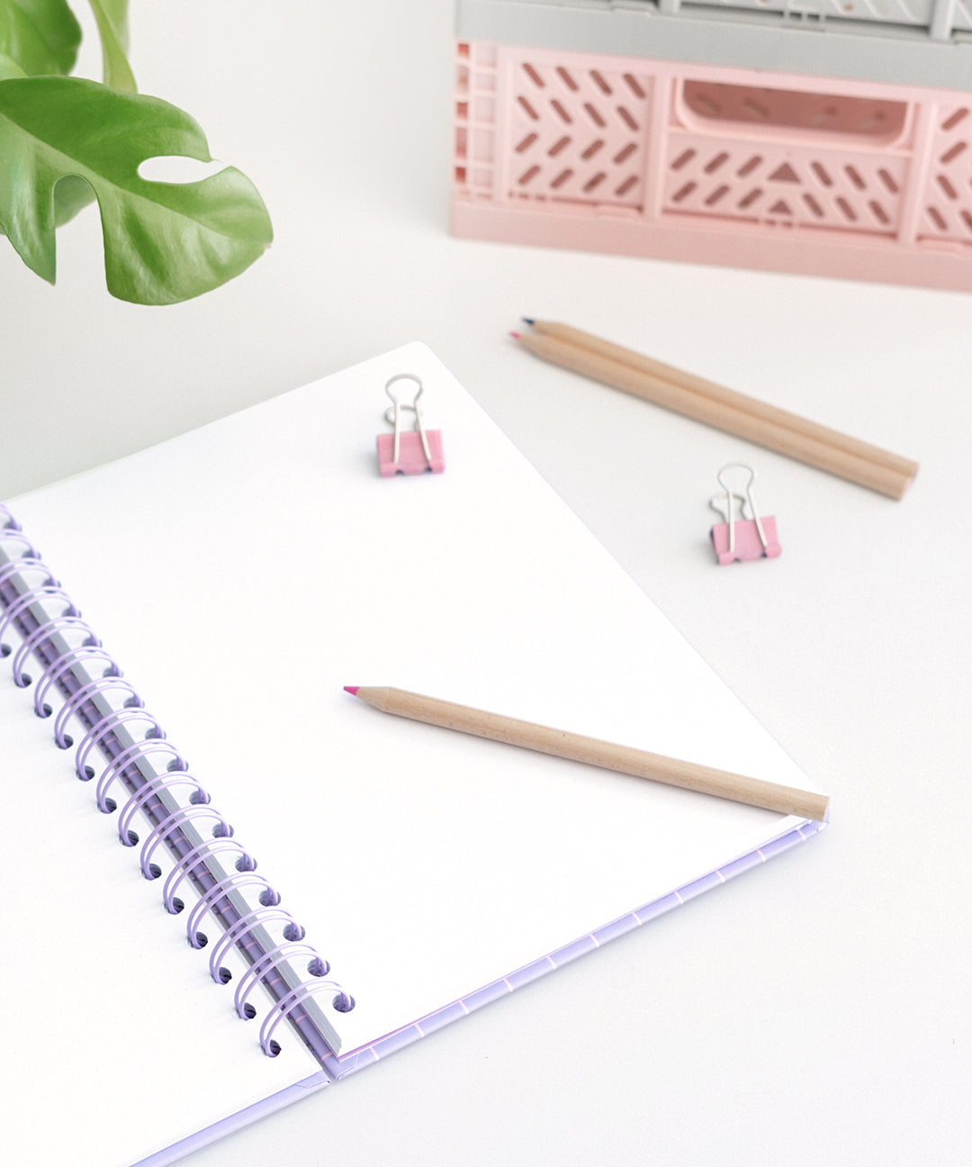 Interior view of light purple notebook. The white pages in the spiral notebook are not lined.