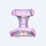 Close-up of the attachment loop of the harness. The light purple straps have adjustable buckles for an adjustable fit.