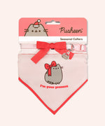 Pusheen Present pet collar and bandana set in packaging that states that the set are seasonal collars. The 3D bow and bandana graphics are displayed at the front. 