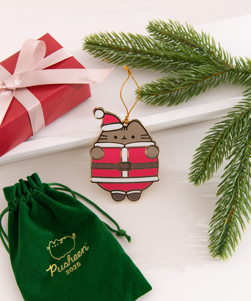 Pusheen holiday ornament lies near its accompanying greeb storage bag. The green bag has the Pusheen logo and year printed in gold. 