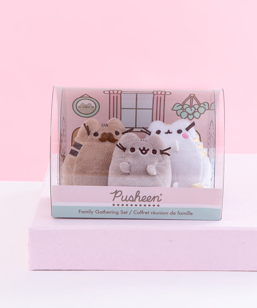 The Pusheen Family Gathering Plush Collector Set in it’s rounded plastic packaging on top of a pink pedestal in front of a light pink background. The Set includes Pusheen sitting upright between her father Biscuit, a dark brown Pusheen with a mustache, and her mother Sunflower, a white cat with three yellow back stripes and pink cheeks. The packaging includes an illustrated background featuring a living room with a window, a house plant, and a picture frame.