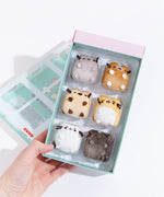 A model’s hand holding the mini plush in their original container with the lid removed. The container is a plastic tray with three rows of two within a pink and mint cardboard box, with the mini plush resting inside like ice cubes in a tray. The top row features Pusheen and the winking brown cat, the middle row has the Siamese cat and the worried yellow cat, and the bottom row has the annoyed white cat and the skunk.