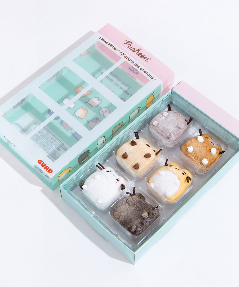 The mini plush inside of their original packaging, with the front sleeve laid down besides it.